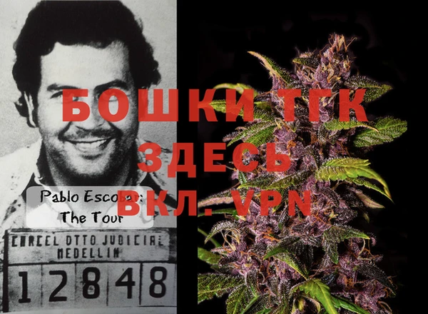 гидра Белоозёрский