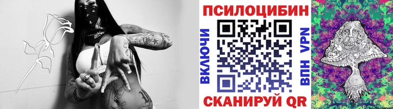 площадка наркотические препараты  Шиханы  Галлюциногенные грибы Psilocybine cubensis  KRAKEN как зайти 